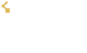 logo_bdm2